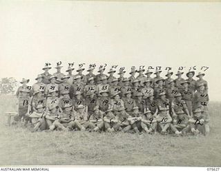 MARKHAM VALLEY, NEW GUINEA. 1944-08-28. GROUP PORTRAIT OF THE REGIMENTAL SERGEANT MAJOR, WARRANT OFFICERS AND SERGEANTS OF THE 4TH FIELD REGIMENT. IDENTIFIED PERSONNEL ARE: SERGEANT G.E. HOWLIN ..