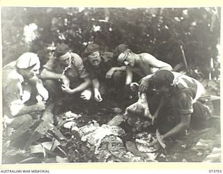 KARKAR ISLAND, NEW GUINEA. 1944-06-03. MEMBERS OF THE 37/52ND INFANTRY BATTALION INDULGING IN WILD PIG. THE PIG HAD BEEN SHOT ON THE ISLAND. IDENTIFIED PERSONNEL ARE:- VX45710 LIEUTENANT A.G. ..