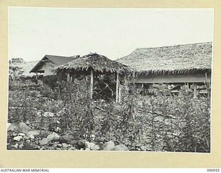 LAE, NEW GUINEA. 1945-08-14. WARD 3, 2/7 GENERAL HOSPITAL