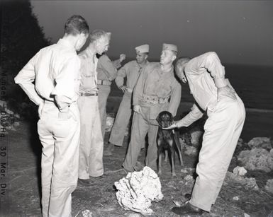 Photograph of Ernie Pyle with a War Dog Named "Jeep" in Guam