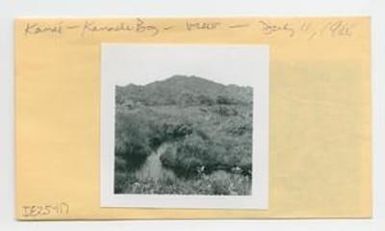 [View of Kanaele Bog in Hawaii, envelope IE25-117]