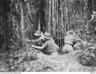 SALAMAUA AREA, NEW GUINEA. 1943-07-23. TROOPS OF THE 18TH PLATOON, "D" COMPANY, 2/5TH BATTALION, OCCUPYING A CAPTURED JAPANESE WEAPON PIT FIFTY YARDS FROM THE JAPANESE LINES. LEFT TO RIGHT: NX98100 ..