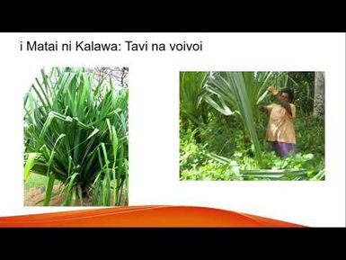 Nai Talanoa ni Voivoi kei na Tali ni Ibe (Part 1)(FIJIAN VERSION)