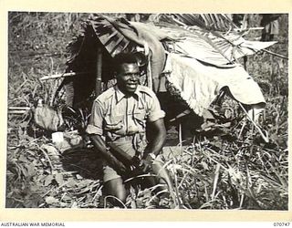 KELANOA, NEW GUINEA. 1944-03-04. 480 CORPORAL SALA, MM, "A" COMPANY, 1ST PAPUAN INFANTRY BATTALION, PICTURED CLEANING AN OWEN GUN OUTSIDE HIS "DOOVER", A SHELTER OR HUT MADE FROM BAMBOO, TARPAULINS ..