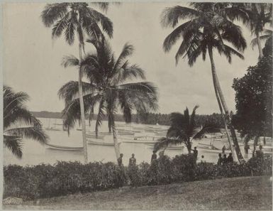 Boats in a bay, Samoa, approximately 1895 / Davis Photo