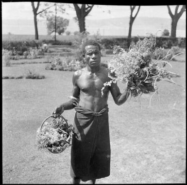 Aiau, the Chinnery's garden boy, with flowers presented to Lady Gowrie, Malaguna Road,  Rabaul, New Guinea, 1937, 2 / Sarah Chinnery