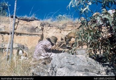 Woman hunting for echidna