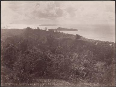 Honggo, with the islands of Hagima and Mendoliana in background, Solomon Islands, 1906 / J.W. Beattie
