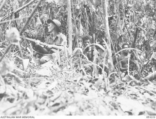 WEWAK AREA, NEW GUINEA, 1945-06-17. A PATROL UNDER LT E.J. MARTIN, D COMPANY, 2/8 INFANTRY BATTALION PROBING ALONG A TRACK LEADING TO A SMALL FEATURE BEHIND B COMPANY, STRIKES TROUBLE AND IS PINNED ..