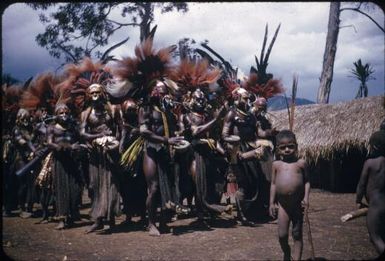 Dancing on the singsing ground: men in all their splendour (3) : The Tengerap Clan Singsing, Wahgi Valley, Papua New Guinea, 1954 / Terence and Margaret Spencer