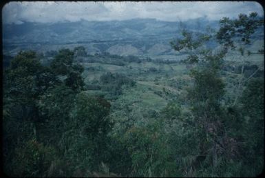 Looking from northern wall at continuation of Tsigmil shelf (towards Mt Hagen) : Waghi Valley, Papua New Guinea, 1954 / Terence and Margaret Spencer