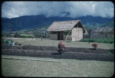 Haus ain (ironing house) : Minj Station, Wahgi Valley, Papua New Guinea, 1954 / Terence and Margaret Spencer