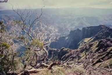 [Waimea Canyon From Above]