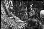 Pig festival, wig ritual, Tsembaga: men with red wigs adorn themselves to be presented