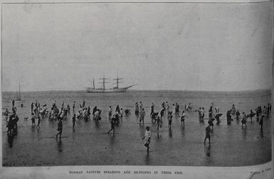 Tongan natives spearing and bringing in their fish