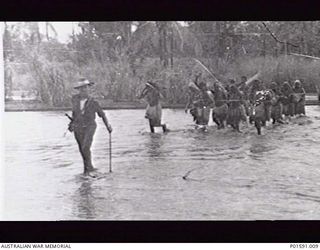 MARKHAM RIVER AREA, NEW GUINEA. C.1945. A MEMBER OF THE MOBILE PROPAGANDA UNIT, FAR EASTERN LIAISON OFFICE, LEADS A LINE OF NATIVE WOMEN CARRIERS ACROSS A RIVER