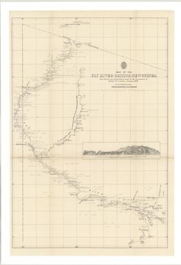 Map of the Fly River, British New Guinea : from surveys and explorations made by the government of British New Guinea, January 1890 / Surveyor General's Office, Brisbane, Queensland