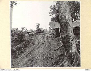 BORAM, WEWAK AREA, NEW GUINEA. 1945-08-31. GENERAL VIEW OF THE TENT LINES, 2/3 FIELD REGIMENT, ROYAL AUSTRALIAN ARTILLERY