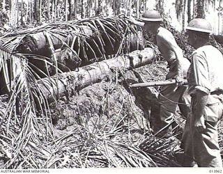 BUNA AREA, PAPUA, 1942-12-28. AUSTRALIAN INFANTRY MOPPING-UP IN THE BUNA AREA. THEY ARE EXAMINING THE CONSTRUCTION OF A JAPANESE MACHINE GUN POST. HUNDREDS OF SIMILAR POSTS, ALL EXTREMELY WELL ..