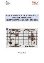 Early detection of potentially invasive non-native invertebrates in South Georgia