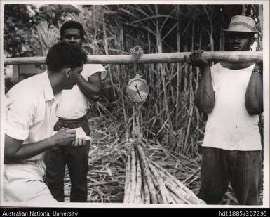 Weighing cane