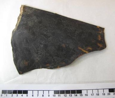 tortoise shell, fragment