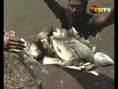 Fisheries Project