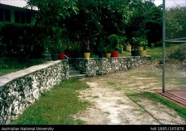 Garden and lawn