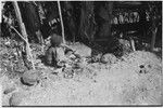 Pig festival, pig sacrifice, Tsembaga: in ancestral shrine, child touches a pig