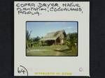 Copra dryer, native plantation, Cocoalands, Papua, [Papua New Guinea, 1964?]