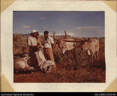 Extension worker with two farmers